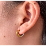 Σκουλαρίκια ατσάλι συνδυασμός ασημί-χρυσού-EA488 - Image 2